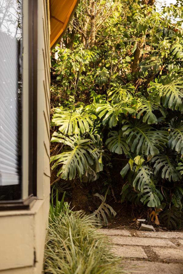 Gamai Monteverde Tiny House 외부 사진